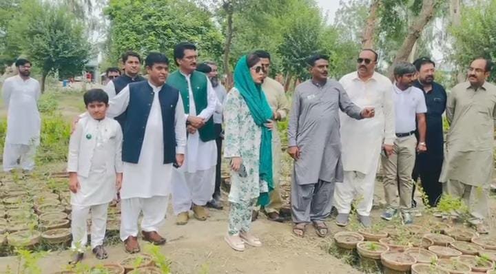 ماحولیاتی تحفظ کے فروغ کے لیے ماچھو فاریسٹ سب ڈویژن میں وسیع پیمانے پر شجرکاری مہم کا انعقاد